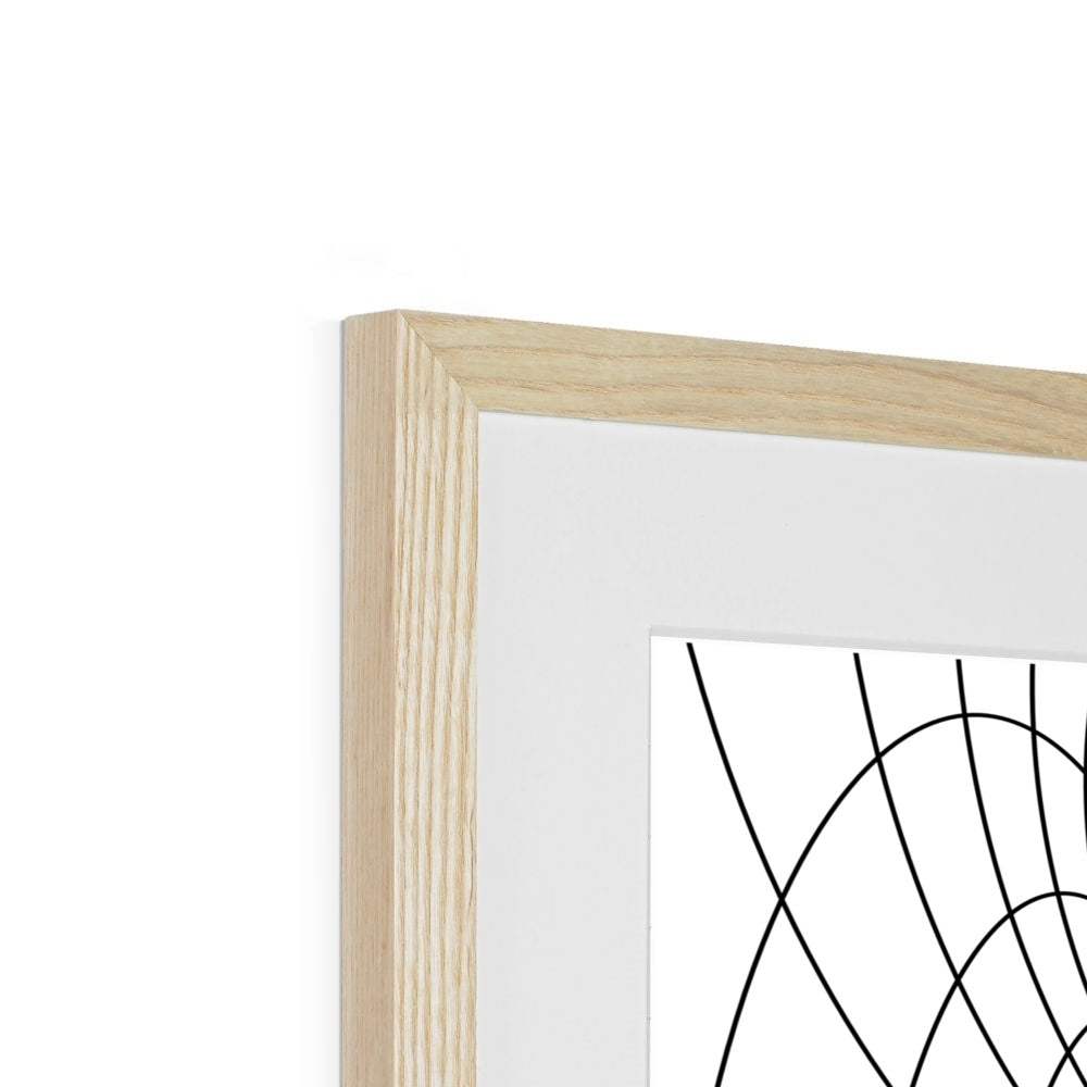 Parabolic Cyclide, Black Framed & Mounted Print