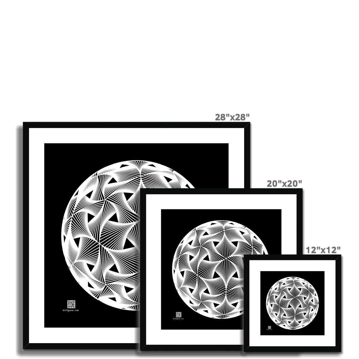Diatom, White Framed & Mounted Print