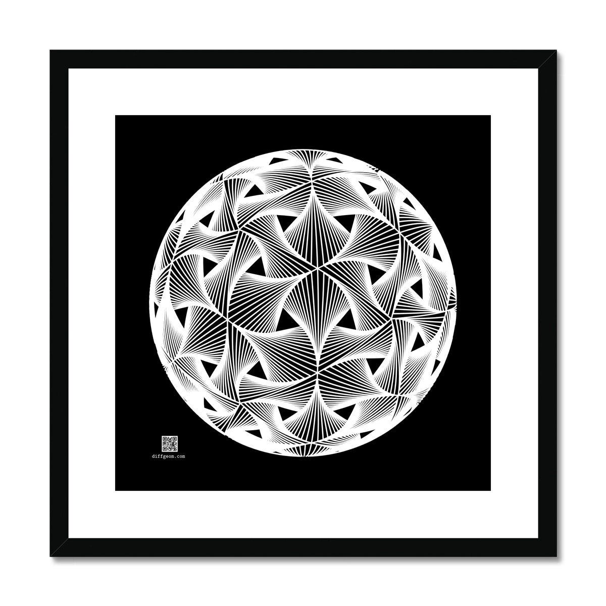 Diatom, White Framed & Mounted Print