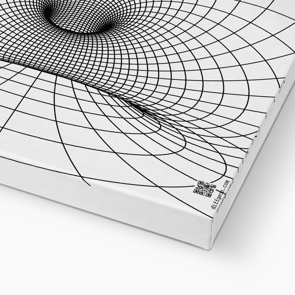 Parabolic Cyclide, Black Eco Canvas