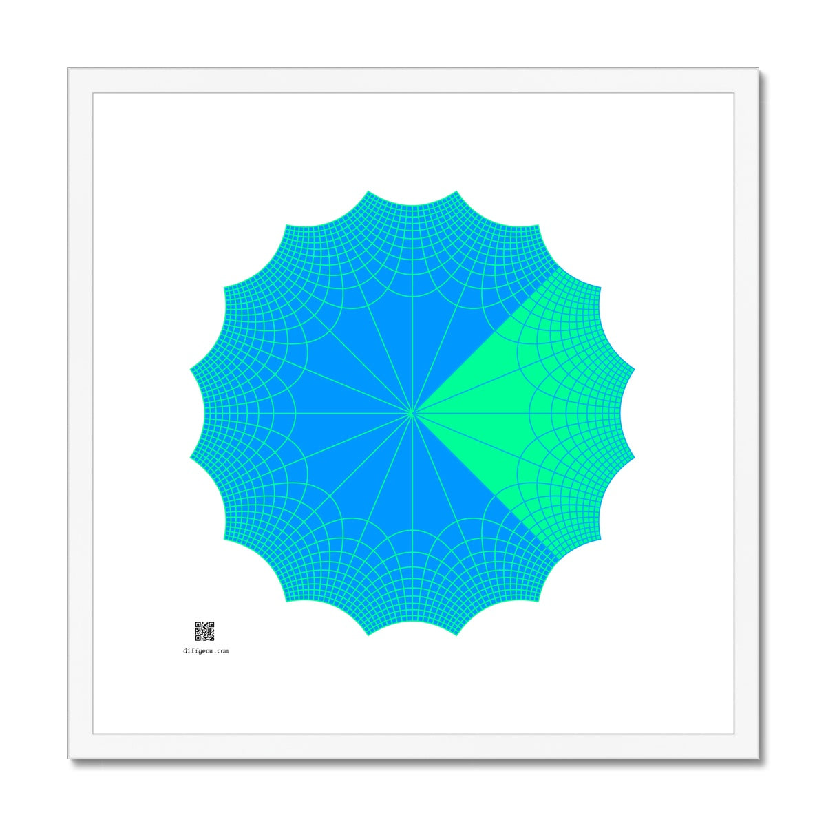 Complex Fourth Roots Framed & Mounted Print