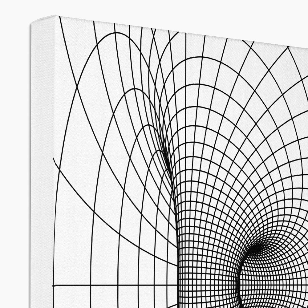 Parabolic Cyclide, Black Eco Canvas