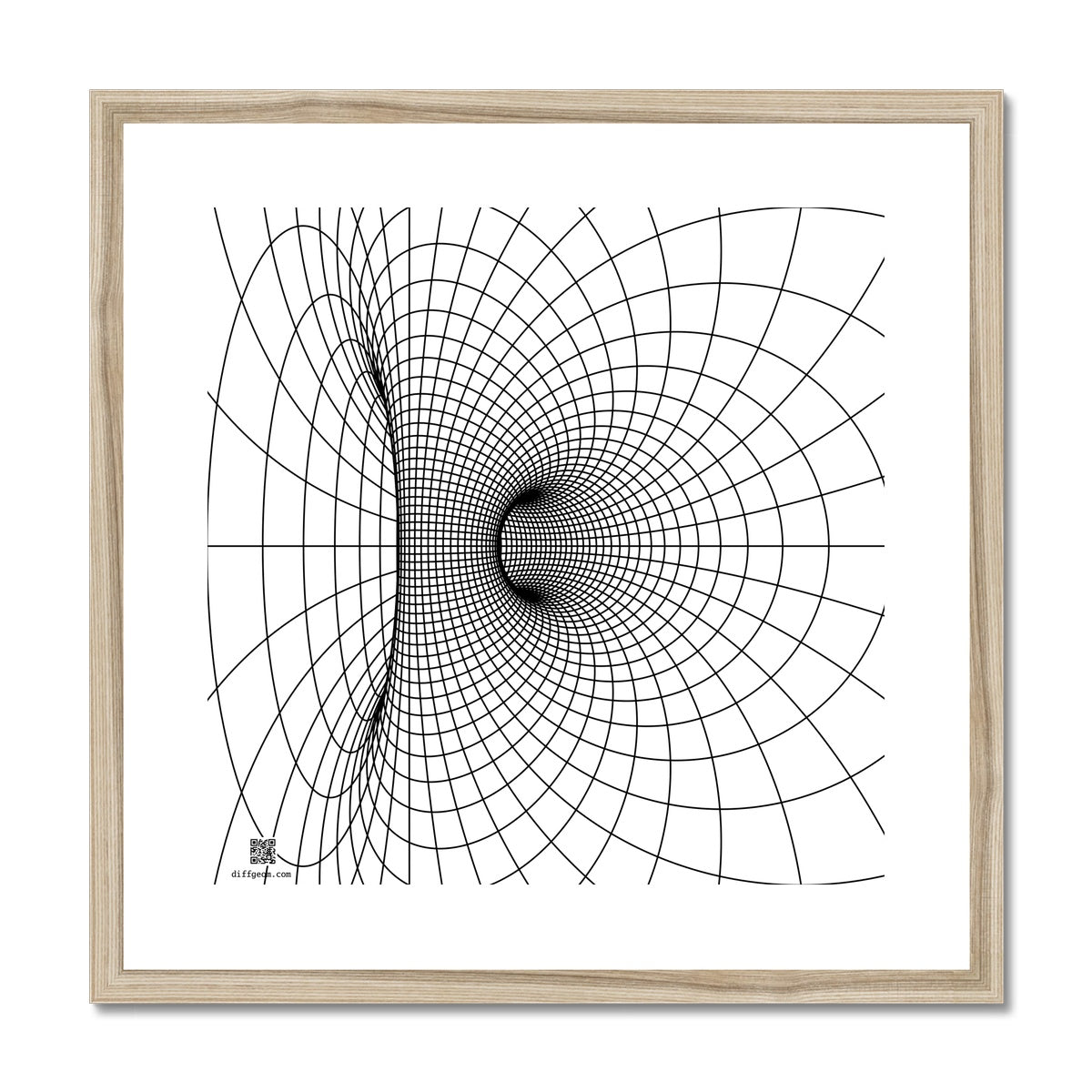 Parabolic Cyclide, Black Framed & Mounted Print