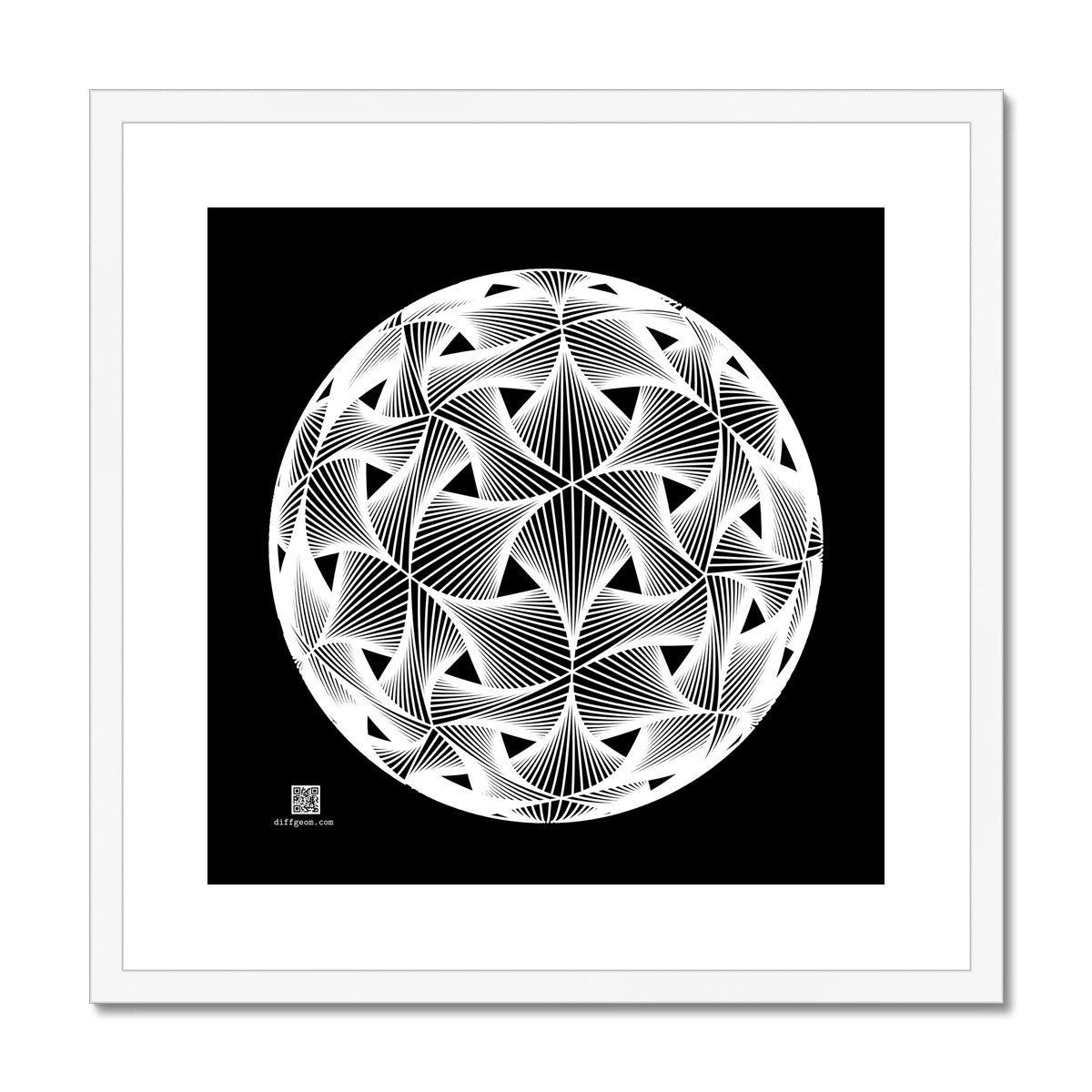 Diatom, White Framed & Mounted Print