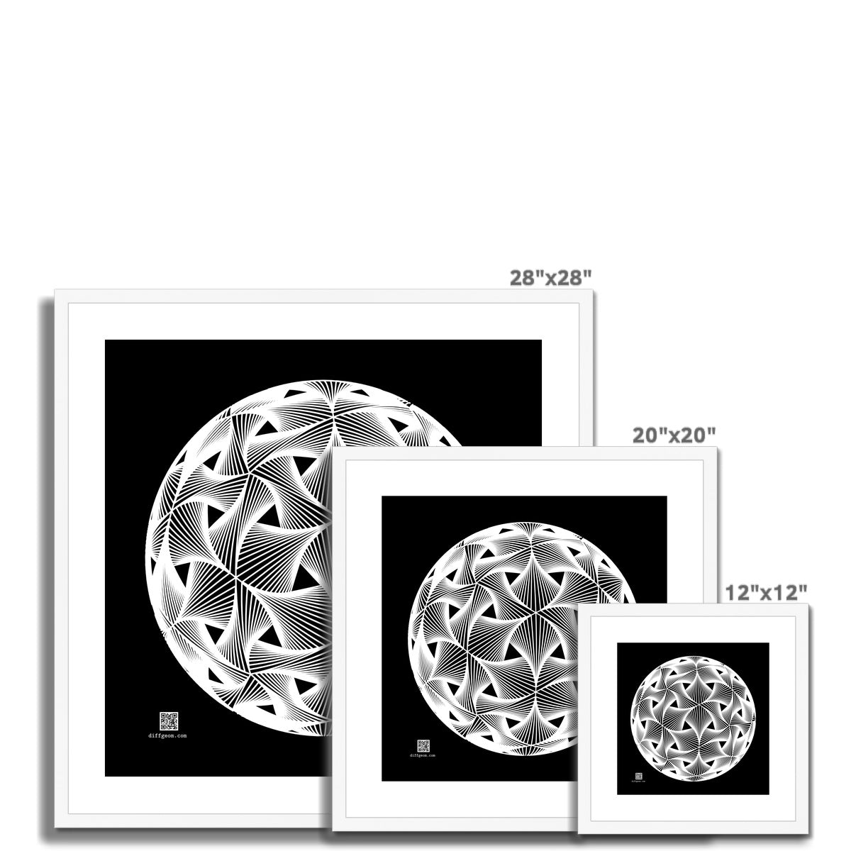 Diatom, White Framed & Mounted Print