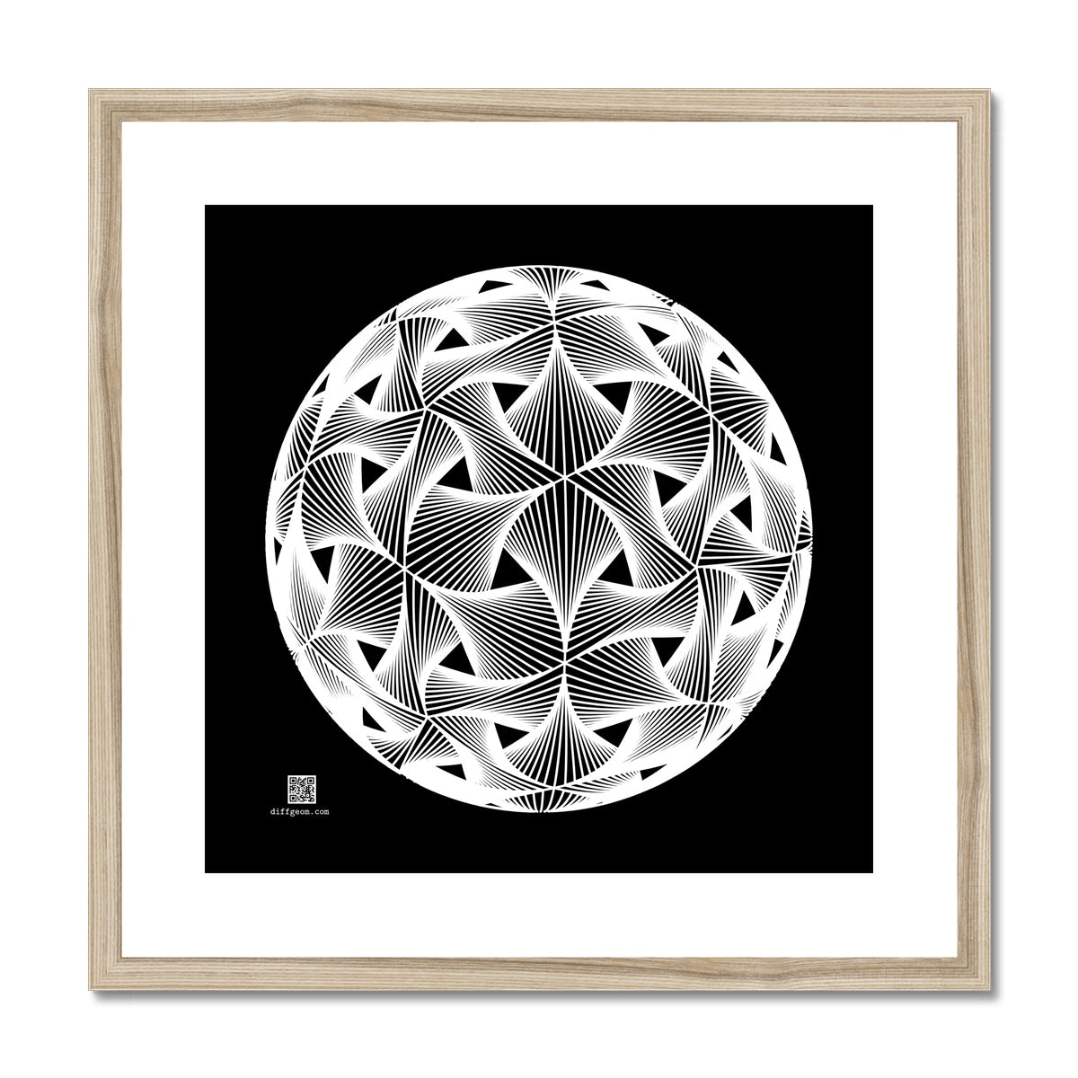 Diatom, White Framed & Mounted Print