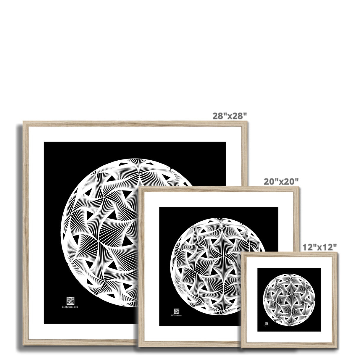 Diatom, White Framed & Mounted Print