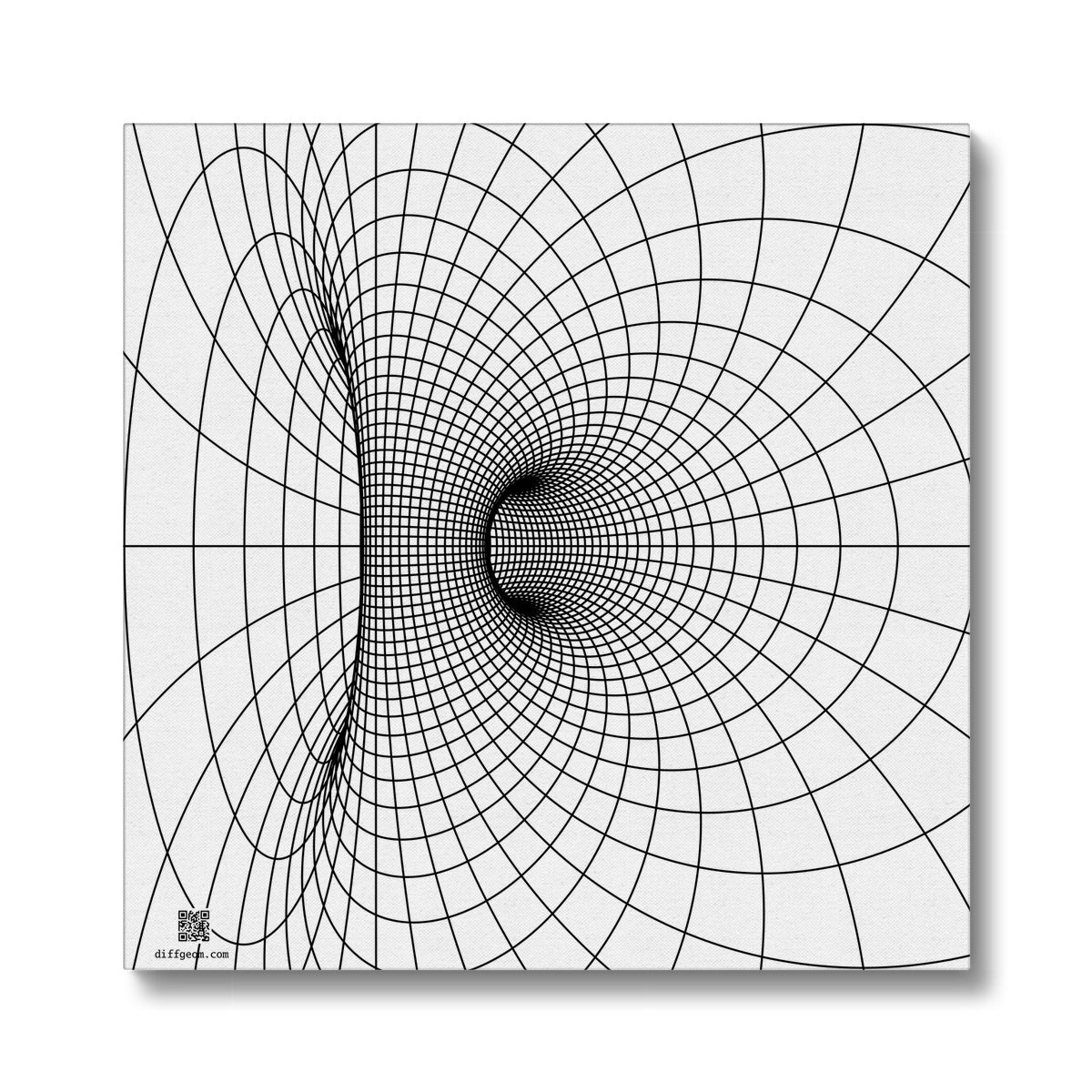 Parabolic Cyclide, Black Eco Canvas