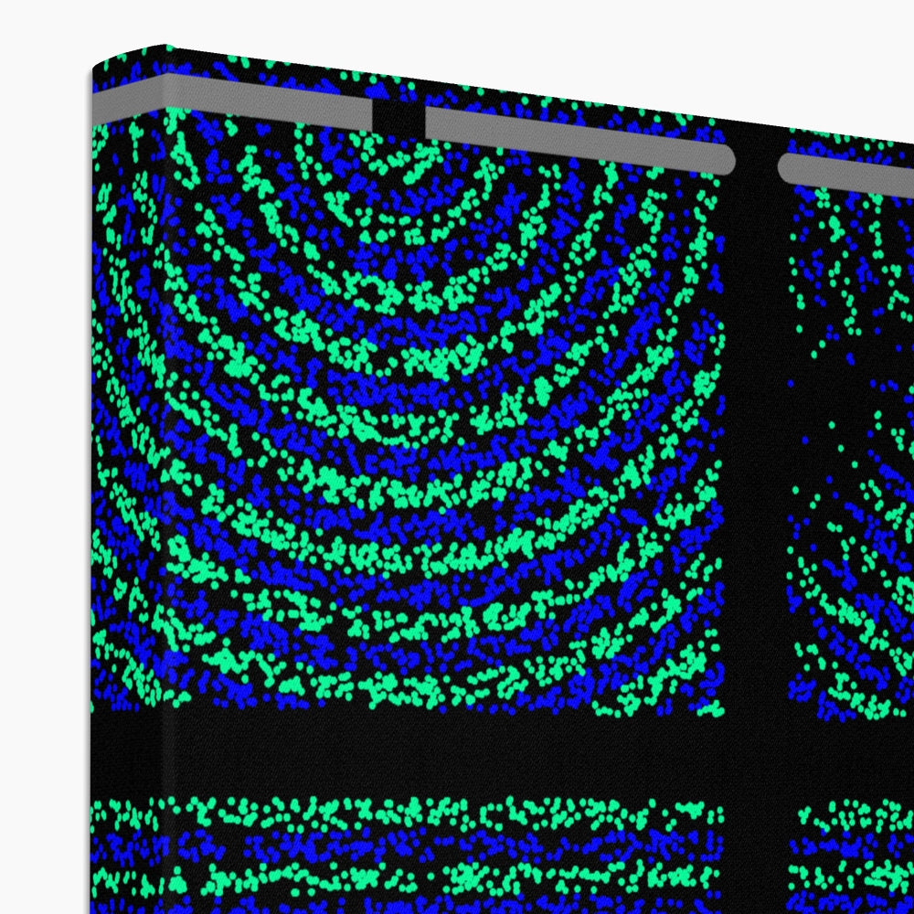 Double Slit Experiment Eco Canvas