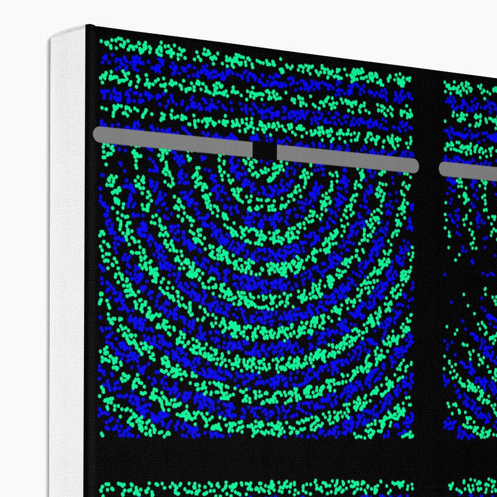 Double Slit Experiment Eco Canvas