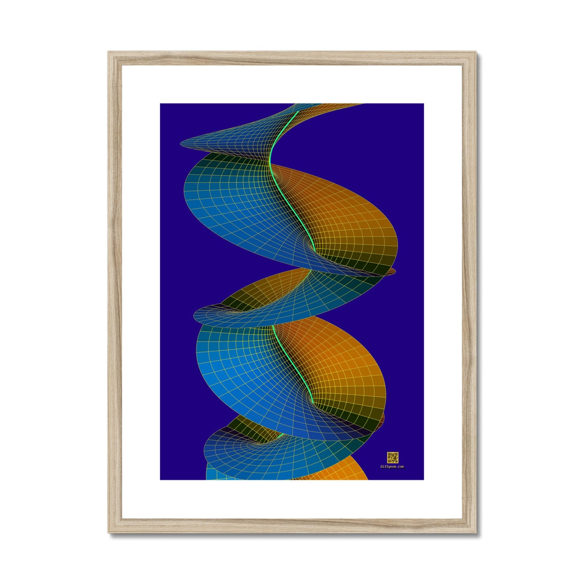 Riemann Surface of Arcsine Framed & Mounted Print