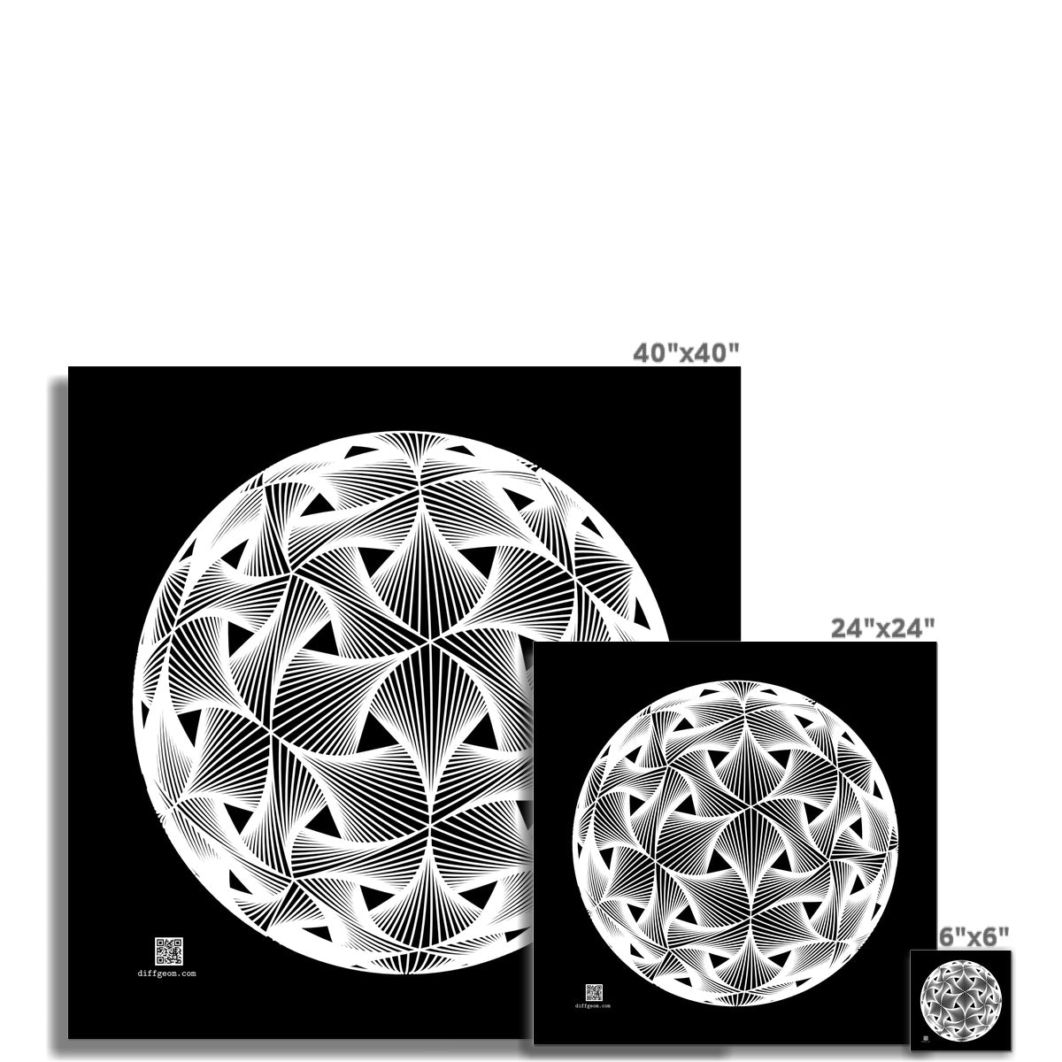 Diatom, White Fine Art Print